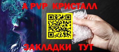 амф Кингисепп