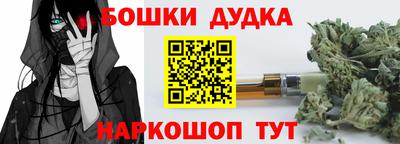 амф Кингисепп