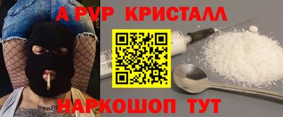 амф Кингисепп